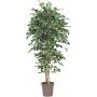 Ficus Benjamini artificial LEVANTA, troncos naturales, verde-blanco, 225 cm - Fabricado en Italia