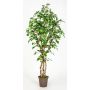 Abedul blanco artificial HINDRIKA, troncos naturales, verde, 175 cm - Fabricado en Italia