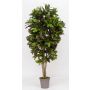Croton artificial KAJETANA, troncos naturales, multicolor, 150 cm - Fabricado en Italia