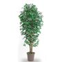 Ficus Benjamini decorativo LEONORET, troncos reales, verde-blanco, 300 cm - Fabricado en Italia