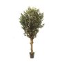 Olivo artificial CECILIO, tronco real, con frutos, 200 cm - Fabricado en Italia