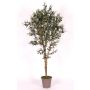 Olivo artificial MIANA, troncos naturales, con frutos, 100 cm - Fabricado en Italia