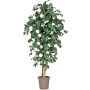 Camelia artificial JASMINDE, troncos naturales, con flores, blanco, 175 cm - Fabricado en Italia