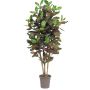 Decoración Croton JULISSA, tronco real, multicolor, 150 cm - Fabricado en Italia