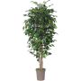 Ficus benjamina artificial LEVANTA, troncos naturales, verde, 150 cm - Fabricado en Italia