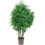 Ficus benjamina artificial SORAVIA, troncos naturales, verde, 150 cm - Fabricado en Italia