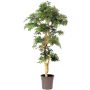 Árbol decorativo arce japonés DANIIL, tronco real, verde-rojo, 185 cm - Fabricado en Italia