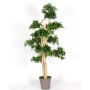 Podocarpus decorativo MIRANA, tronco natural, verde, 180 cm - Fabricado en Italia