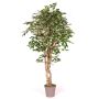 Ficus Benjamini artificial YANEXY, troncos naturales, verde-blanco, 200 cm - Fabricado en Italia