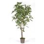 Ficus artificial BASILIO, troncos reales, verde-blanco, 180 cm - Fabricado en Italia
