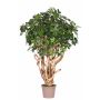 Schefflera falsa TIERNO, tronco real, verde, 225 cm - Fabricado en Italia