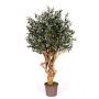 Olivo artificial COTARIO, tronco real, con frutos, 225 cm - Fabricado en Italia