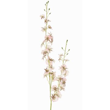 Rama de orquídea Oncidium artificial TALIAH, blanco-rosa, 85cm, Ø3-4cm