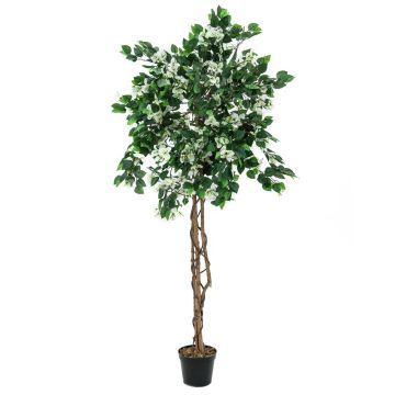 Buganvilla plástico BANU, tronco natural, flores, blanca, 180cm