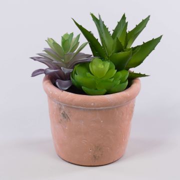 Arreglo de suculentas artificiales DANGELO en maceta de terracota, verde-violeta, 19 cm Arreglo de suculentas artificiales DANGELO en maceta de terracota, verde-violeta, 19 cm