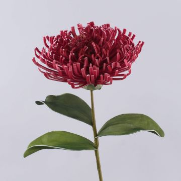 Flor artificial Protea, espuma plástica ISLARTINA, rojo-rosa, 75 cm Flor artificial Protea, espuma plástica ISLARTINA, rojo-rosa, 75 cm