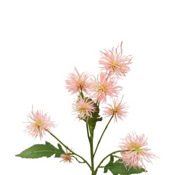 Rama decorativa de cardo GESKENDA, rosa-amarilla, 60 cm
