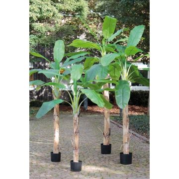 Planta artificial platanero SHARA, 210 cm
