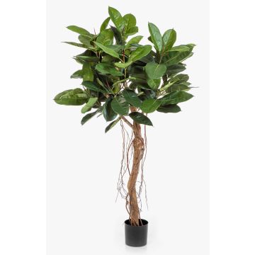 Árbol de caucho artificial ADORU, tronco natural, verde, 155 cm