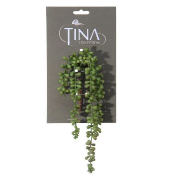 Senecio artificial NELLAS, varilla, verde, 35cm