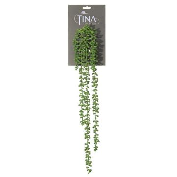 Senecio artificial NELLAS, varilla, verde, 70cm