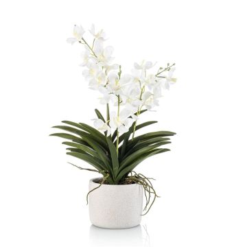 Orquídea artificial Vanda PAVRA en maceta de cerámica, raíces, blanco-crema, 60 cm
