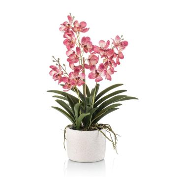 Orquídea artificial Vanda PAVRA en maceta de cerámica, raíces, rosa-blanco, 60 cm