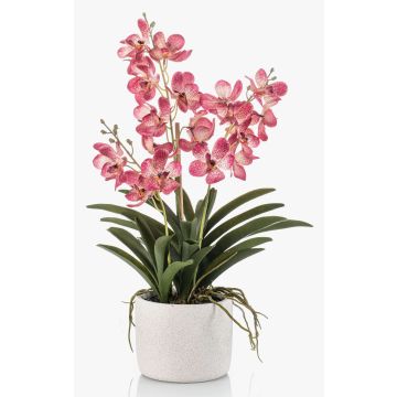 Orquídea artificial Vanda PAVRA en maceta de cerámica, raíces, rosa-blanco, 60 cm Orquídea artificial Vanda PAVRA en maceta de cerámica, raíces, rosa-blanco, 60 cm