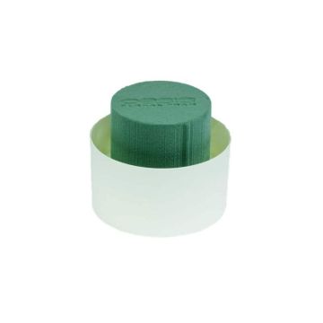 OASIS® Espuma húmeda Cilindro en bandeja de compuesto de papel, verde-crema, 7 cm, Ø 11 cm