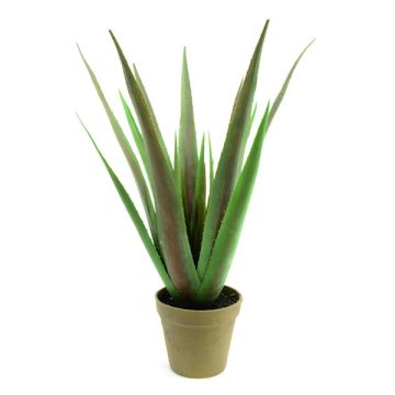 Aloe de plástico LUCIO, en tiesto decorativo, verde, 55cm, Ø25cm