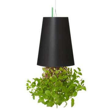 Planta artificial de menta colgante LEVONT en maceta decorativa, verde, 13cm, Ø9,5cm Planta artificial de menta colgante LEVONT en maceta decorativa, verde, 13cm, Ø9,5cm