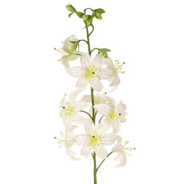 Lirio artificial LABRICKA, blanco-amarillo, 100 cm, Ø 9 cm