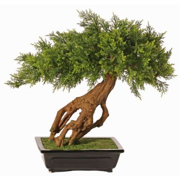 Bonsái de enebro artificial LORITIS en maceta de piedra, 55cm Bonsái de enebro artificial LORITIS en maceta de piedra, 55cm