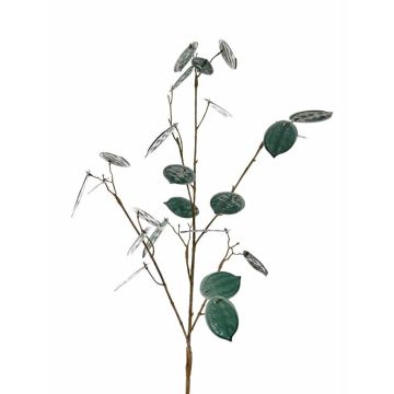 Rama decorativa Lunaria LOUDIAS, verde petróleo, 90 cm
