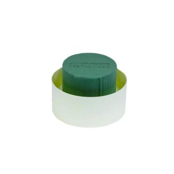 OASIS® Espuma húmeda Cilindro en bandeja de compuesto de papel, verde-crema, 6 cm, Ø 11 cm
