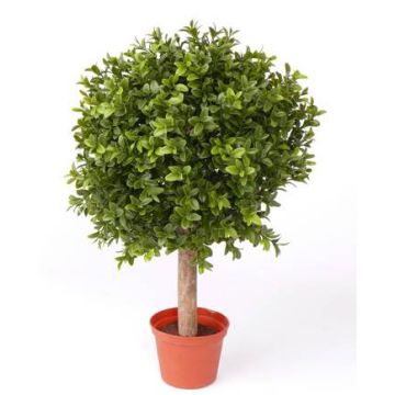 Árbol boj artificial TOM, tronco natural, exterior, verde, 35cm, Ø25cm