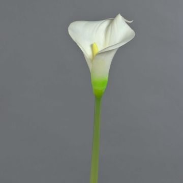 Calla artificial MIRAC, color crema, 75 cm, 13 x 15 cm