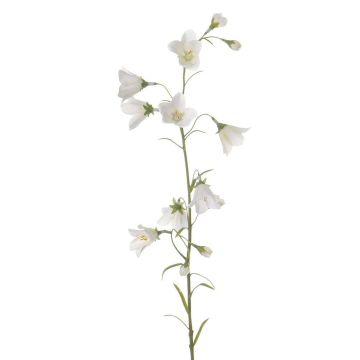 Rama de campanilla artificial GISELA, blanco, 65cm, Ø5cm Rama de campanilla artificial GISELA, blanco, 65cm, Ø5cm