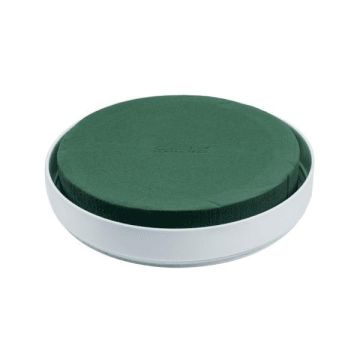 OASIS® Espuma húmeda redonda para arreglos florales, en bandeja de plástico, verde y blanco, 4 cm, Ø 20 cm