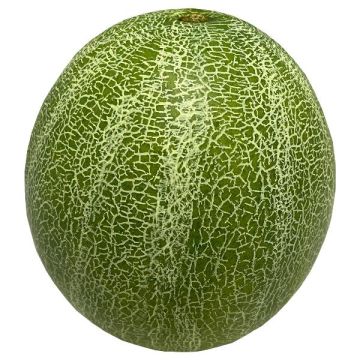 Fruta decorativa melón cantalupo ZASTO, verde, Ø 15 cm
