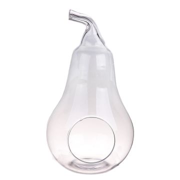 Terrario para plantas YVIE en forma de pera, cristal, transparente, 31cm, Ø17cm