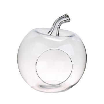 Terrario para plantas TISOA de cristal en forma de manzana, transparente, 26cm, Ø24cm