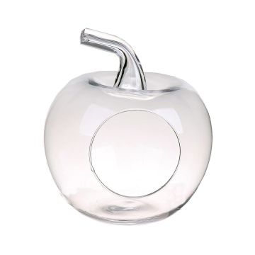 Terrario para plantas TISOA de cristal en forma de manzana, transparente, 21cm, Ø19cm