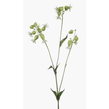Rama artificial de silene PRANVERA con flores, blanco-verde, 80 cm