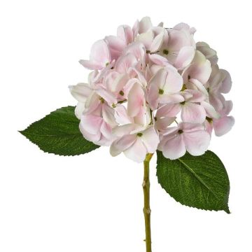 Hortensia artificial KLUVT, rosa, 50 cm Hortensia artificial KLUVT, rosa, 50 cm