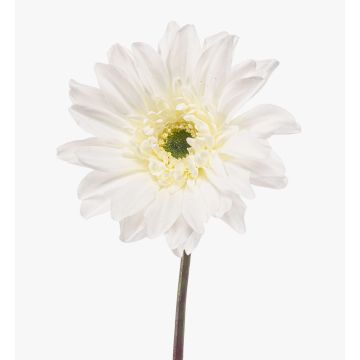 Gerbera artificial FRALWE, Eco Collection, blanca, 65 cm, Ø 13 cm