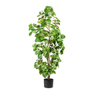 Árbol artificial eucalipto MISNE, tronco artificial, verde, 120 cm