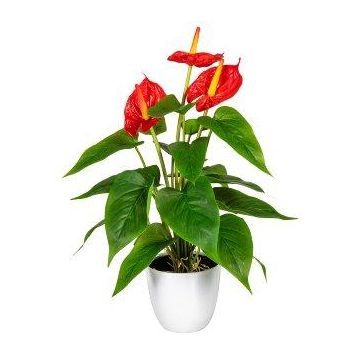 Flor artificial flamingo PLOVIR en maceta decorativa, raíces, rojo, 40 cm