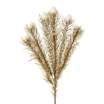 Rama decorativa alfiletero protea KROLI, crema-marrón, 50 cm Rama decorativa alfiletero protea KROLI, crema-marrón, 50 cm