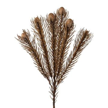 Rama decorativa alfiletero protea KROLI, gris-marrón, 50 cm